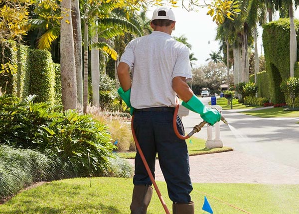 About Eskdale WV Pest Control
